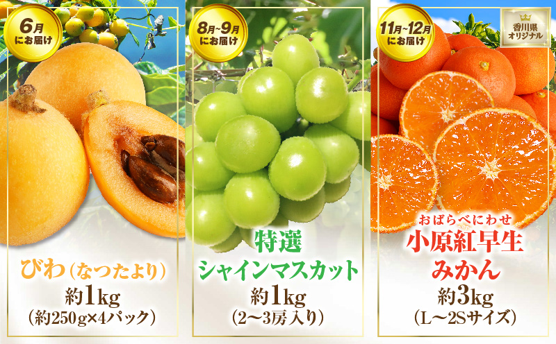 さぬき旬のフルーツ満足 5回定期便 | 果物 フルーツ 青果 青果物 いちご みかん シャインマスカット びわ さぬきひめ 小原紅早生みかん マスカット なつたより 不知火 旬の果物 季節の果物 贈答 贈り物 ギフト 化粧箱 取り寄せ 香川県 三木町 送料無料 |_mk006-t016