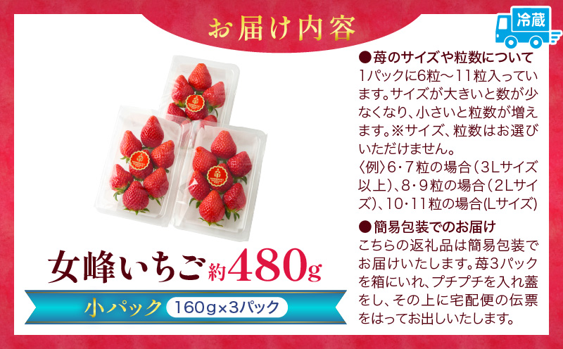 【苺ファーム森本】女峰いちご 小パック160g×3パック ≪IDOMALL セレクト≫|スイーツ いちご ストロベリー 女峰 苺 ジャム いちごジャム フルーツ 旬 果物 香川県 デザート 青果物 贈答 プレゼント 贈り物 おすすめ|_mk048-011