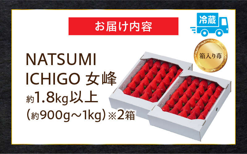 NATSUMI ICHIGO 女峰 約1.8kg以上（2026年1月～6月配送） | スイーツ いちご ストロベリー 女峰 1kg以上 苺 冷蔵 フルーツ 旬 果物 香川県 デザート 青果物 贈答 プレゼント 贈り物 季節限定 旬 おすすめ |_mk060-001