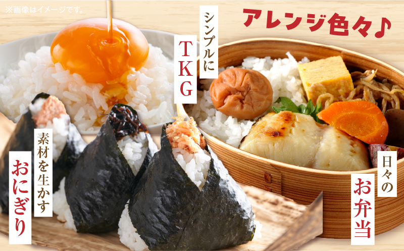 【令和7年産】香川県産あきさかり 5kg（紙袋配送）|新米 あきさかり 5kg 米 白米 ごはん ご飯 朝食 白ご飯 おにぎり お弁当 おむすび お米 国産 美味しい ツヤ モチモチ 精米 おすすめ 香川県 三木町 |_mk132-111-01