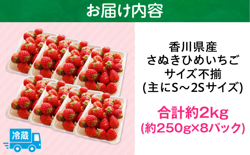 【2026年発送分 先行受付】苺音クラフト?加工用さぬきひめいちご約2kg | おすすめ 人気 果実 果肉 果物 フルーツ デザート 贈り物 苺 さぬきひめ 贈答 ご褒美 旬の果物 季節の果物 旬 季節 青果物 香川県 三木町 |_mk137-007
