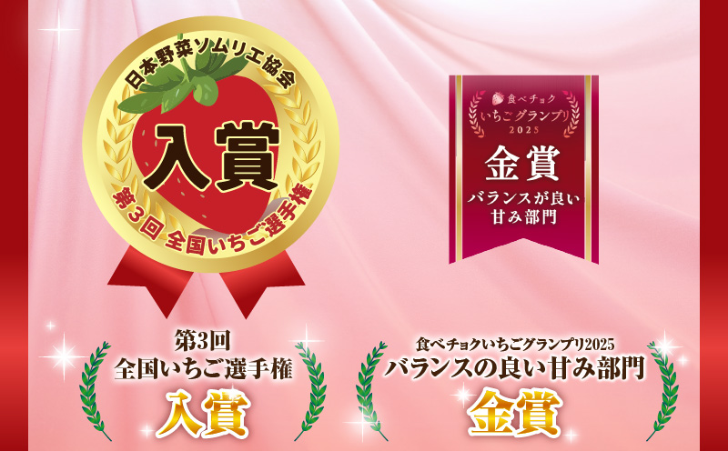 【2026年発送分 先行受付】苺音エコノミー　?さぬきひめいちご約1,280g?3回定期便 | おすすめ 人気 果実 果肉 果物 フルーツ デザート 贈り物 苺 さぬきひめ 贈答 ご褒美 ギフト 旬の果物 季節の果物 旬 季節 青果物 香川県 三木町 |_mk137-t001