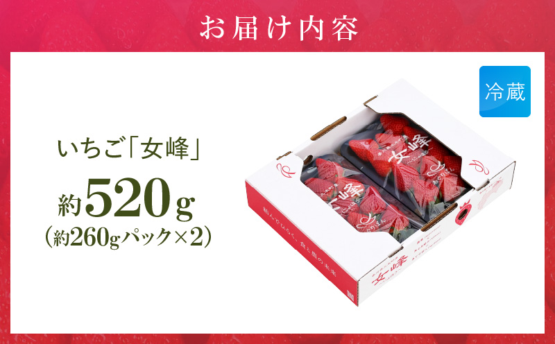 あぐりぼん　いちご「女峰」　約260gパック×2個（約520g）|いちご 果物 フルーツ デザート ストロベリー 果肉 スイーツ 甘い 国産 贈り物 贈答 プレゼント グルメ 人気 おすすめ 季節 旬 旬の果物 香川県 三木町 送料無料|_mk144-008