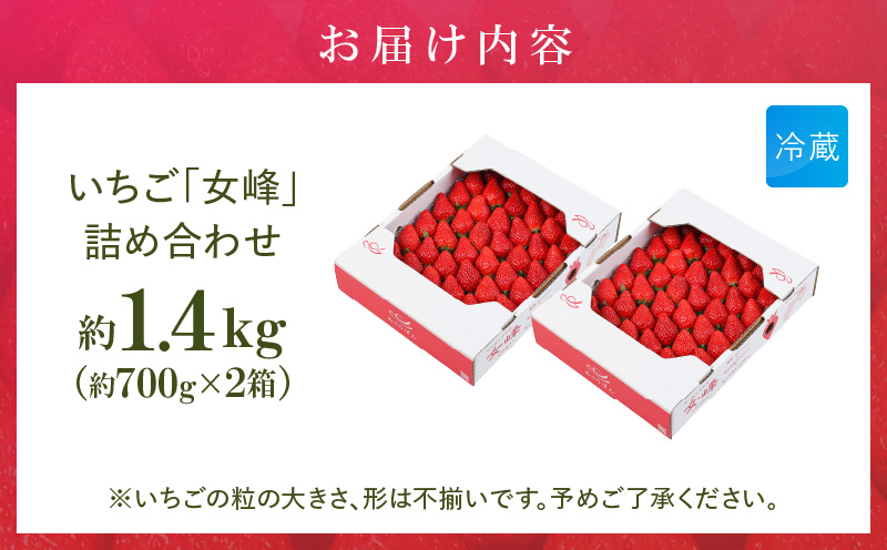 あぐりぼん　いちご「女峰」　詰め合わせ約1.4kg　（約700g×2箱）|いちご 果物 フルーツ デザート ストロベリー 果肉 スイーツ 甘い 国産 贈り物 贈答 プレゼント グルメ 人気 おすすめ 季節 旬 旬の果物 詰め合わせ 香川県 三木町 送料無料|_mk144-012