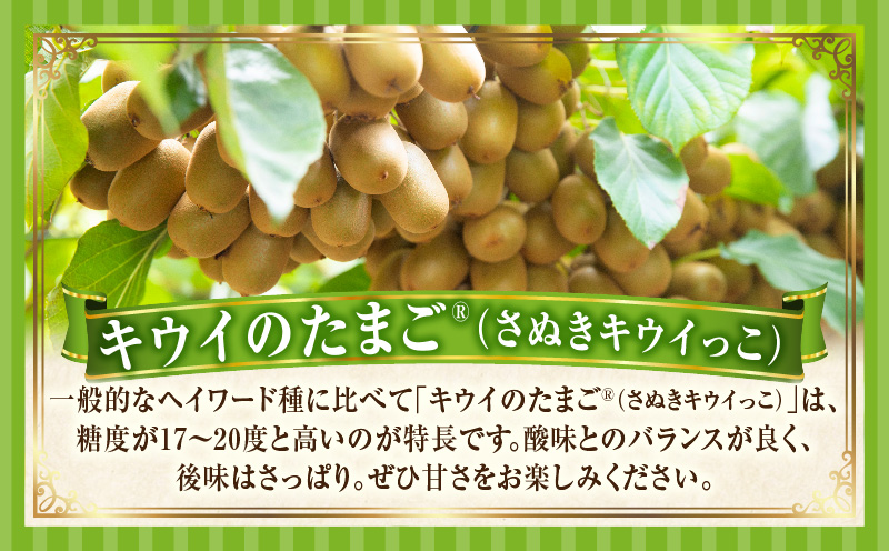季節の恵み2回定期便E | 果物 フルーツ 定期便 定期 果物定期便 フルーツ定期便 スイーツ デザート 旬の果物 旬のフルーツ 旬の定期便 贈り物 贈答 ギフト 厳選 ギフト ご褒美 いちご キウイ キウイフルーツ 香川県 三木町 |_mk165-t005