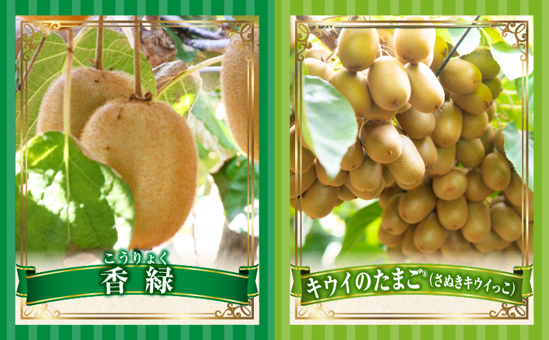 季節の恵み3回定期便I | 果物 フルーツ 青果 青果物 デザート スイーツ 果実 旬 季節 旬の果物 季節の果物 生鮮食品 生鮮 贈答 贈り物 ギフト プレゼント おすそ分け お祝い 内祝い ご褒美 人気 グルメ お取り寄せ 特産品 特産 国産 香川県 三木町 |_mk165-t024