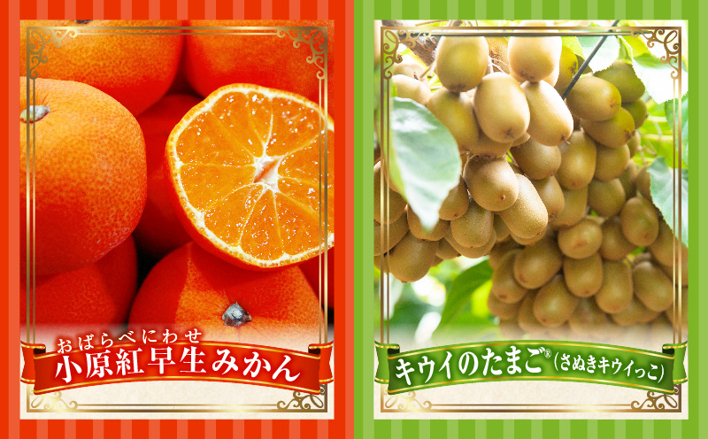 季節の恵み4回定期便F | 果物 フルーツ 青果 青果物 デザート スイーツ 果実 旬 季節 旬の果物 季節の果物 生鮮食品 生鮮 贈答 贈り物 ギフト プレゼント おすそ分け お祝い 内祝い ご褒美 人気 グルメ お取り寄せ 特産品 特産 国産 香川県 三木町 |_mk165-t030