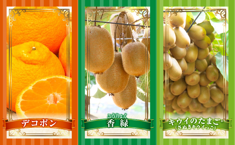 季節の恵み5回定期便B | 果物 フルーツ 青果 青果物 デザート スイーツ 果実 旬 季節 旬の果物 季節の果物 生鮮食品 生鮮 贈答 贈り物 ギフト プレゼント おすそ分け お祝い 内祝い ご褒美 人気 グルメ お取り寄せ 特産品 特産 国産 香川県 三木町 |_mk165-t032