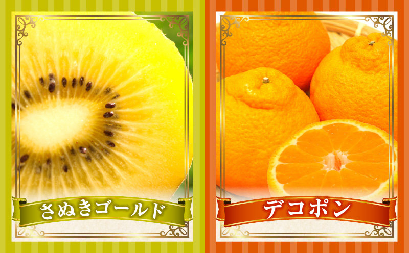 とれたて果物 3回定期便A 果物 フルーツ 果物定期便 フルーツ定期便 定期便 いちご キウイ デコポン濃厚 旬の果物 定期 人気 おすすめ 贈答 贈り物 青果物 糖度 香川県 _mk165-t065