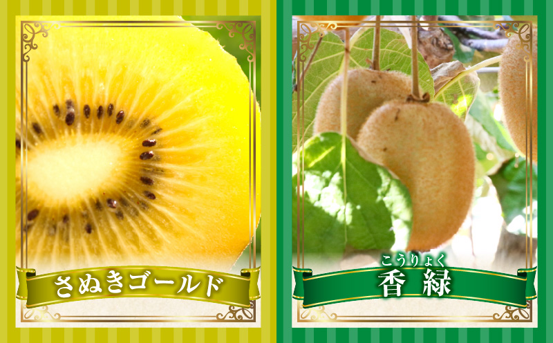 とれたて果物 3回定期便B 果物 フルーツ 果物定期便 フルーツ定期便 定期便 いちご キウイ濃厚 旬の果物 定期 人気 おすすめ 贈答 贈り物 青果物 糖度 香川県 _mk165-t066