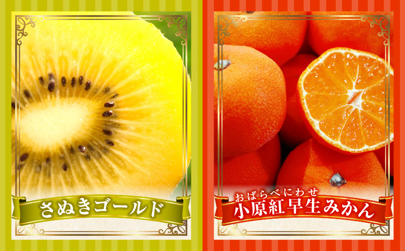 とれたて果物 3回定期便C 果物 フルーツ 果物定期便 フルーツ定期便 定期便 いちご キウイみかん 濃厚 旬の果物 定期 人気 おすすめ 贈答 贈り物 青果物 糖度 香川県 _mk165-t067