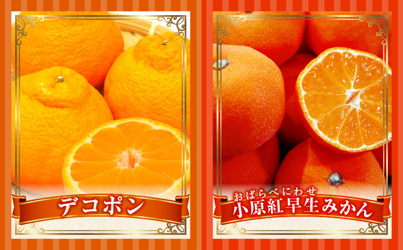 とれたて果物 3回定期便F 果物 フルーツ 果物定期便 フルーツ定期便 定期便キウイ デコポンみかん 濃厚 旬の果物 定期 人気 おすすめ 贈答 贈り物 青果物 糖度 香川県 _mk165-t070