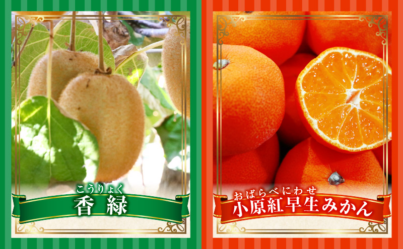 とれたて果物 3回定期便H 果物 フルーツ 果物定期便 フルーツ定期便 定期便キウイデコポンみかん 濃厚 旬の果物 定期 人気 おすすめ 贈答 贈り物 青果物 糖度 香川県 _mk165-t072