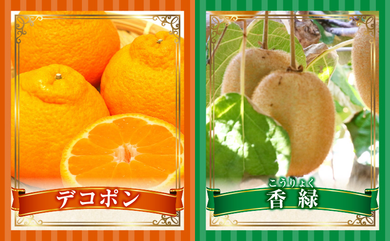 とれたて果物 4回定期便A 果物 フルーツ 果物定期便 フルーツ定期便 定期便 いちご キウイ デコポン濃厚 旬の果物 定期 人気 おすすめ 贈答 贈り物 青果物 糖度 香川県 _mk165-t074