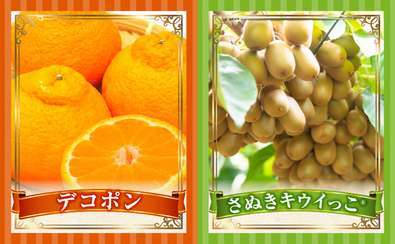 とれたて果物 4回定期便C 果物 フルーツ 果物定期便 フルーツ定期便 定期便 いちご キウイ デコポン濃厚 旬の果物 定期 人気 おすすめ 贈答 贈り物 青果物 糖度 香川県 _mk165-t076