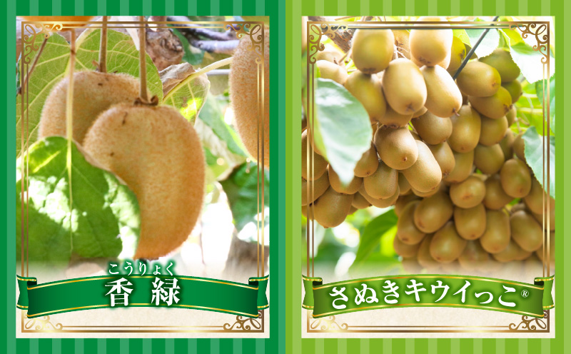 とれたて果物 4回定期便E 果物 フルーツ 果物定期便 フルーツ定期便 定期便 キウイ デコポン濃厚 旬の果物 定期 人気 おすすめ 贈答 贈り物 青果物 糖度 香川県 _mk165-t078