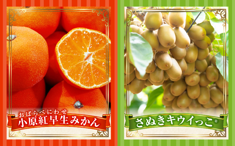 とれたて果物 4回定期便F 果物 フルーツ 果物定期便 フルーツ定期便 定期便キウイ デコポンみかん 濃厚 旬の果物 定期 人気 おすすめ 贈答 贈り物 青果物 糖度 香川県 _mk165-t079