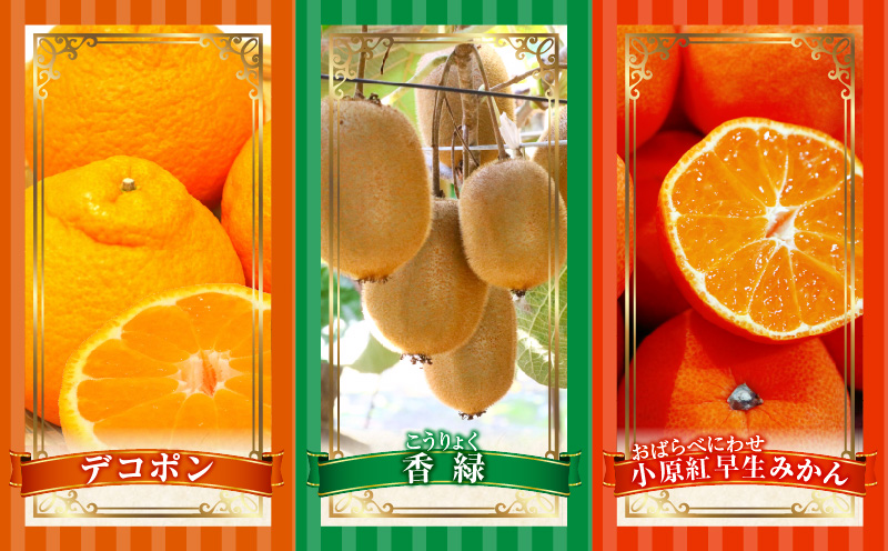 とれたて果物 5回定期便A 果物 フルーツ 果物定期便 フルーツ定期便 定期便 いちご キウイ デコポンみかん 濃厚 旬の果物 定期 人気 おすすめ 贈答 贈り物 青果物 糖度 香川県 _mk165-t080