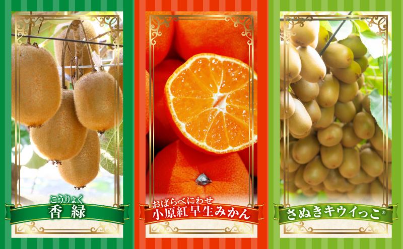 とれたて果物 5回定期便C 果物 フルーツ 果物定期便 フルーツ定期便 定期便キウイ デコポンみかん 濃厚 旬の果物 定期 人気 おすすめ 贈答 贈り物 青果物 糖度 香川県 _mk165-t082