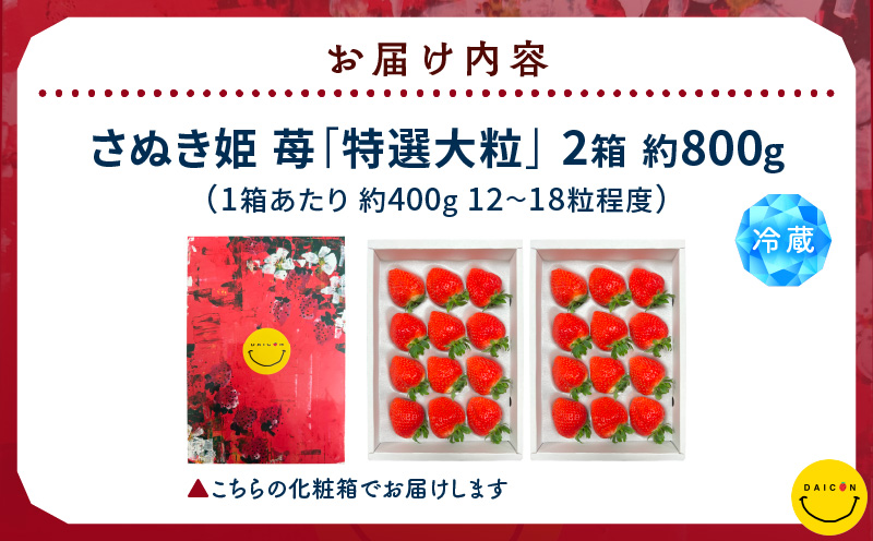 【先行予約】DAICONファーム さぬきひめJEWEL BOX（さぬきひめ苺（特選大粒）2箱 約800g） | いちご 苺 果物 果実 果汁 青果物 高級 大粒いちご 特選大粒 ご褒美 贈答 贈り物 人気 おすすめ 化粧箱 スイーツ デザート 旬 旬の果物 | _mk170-001