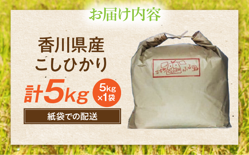 【令和7年産】香川県産こしひかり 5kg（紙袋配送）|新米 コシヒカリ こしひかり 5kg 米 白米 ごはん ご飯 朝食 白ご飯 おにぎり お弁当 おむすび お米 国産 美味しい ツヤ モチモチ 精米 おすすめ 香川県 三木町 |_mk132-110-01