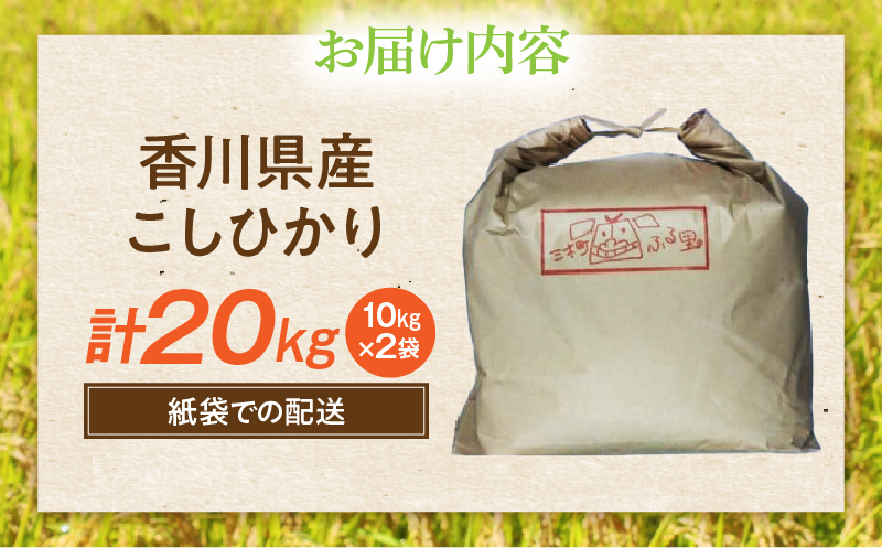 【令和7年産】香川県産こしひかり 20kg（紙袋配送）|新米 コシヒカリ こしひかり 20kg 米 白米 ごはん ご飯 朝食 白ご飯 おにぎり お弁当 おむすび お米 国産 美味しい ツヤ モチモチ 精米 おすすめ 香川県 三木町 |_mk132-110-04