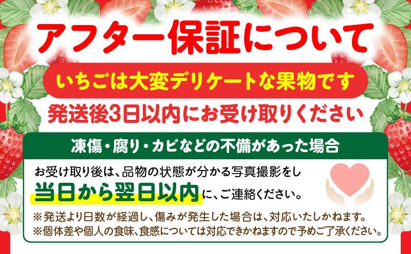 あぐりぼん「女峰」詰め合わせ 2回定期便| いちご 果物 フルーツ 定期便 女峰 希少 デザート ストロベリー 果肉 スイーツ 甘い 国産 贈り物 贈答 プレゼント グルメ 人気 おすすめ 季節 旬 旬の果物 詰め合わせ|_mk144-t001