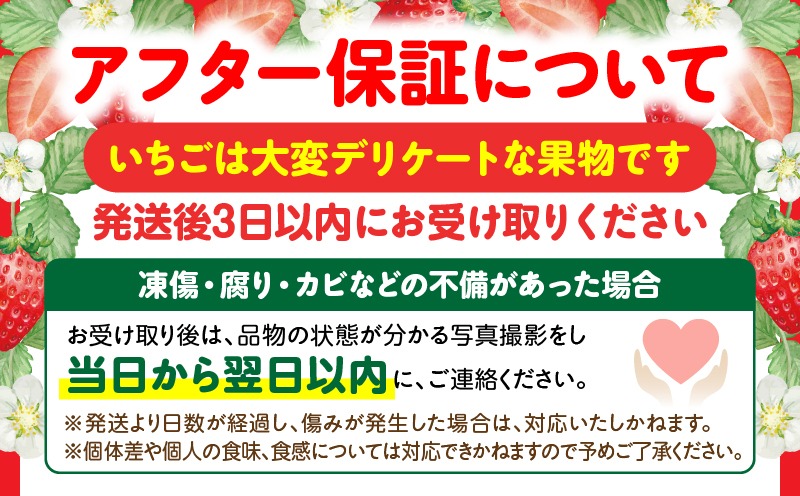 大粒いちご　極甘さぬき姫 約260g | 果物 フルーツ いちご フレッシュ ジューシー 香り 爽やか 春 真っ赤 旬の果物 人気 おすすめ 贈答 贈り物 青果物 糖度 香川県 三木町 |_mk165-015