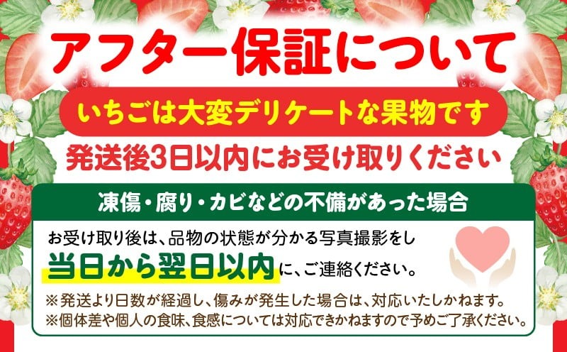 【先行予約】DAICONファーム さぬきひめJEWEL BOX（さぬきひめ苺 4箱（8パック）約2kg）| いちご 苺 果物 果実 果汁 青果物 フルーツ 旬のフルーツ ご褒美 贈答 贈り物 人気 おすすめ 化粧箱 スイーツ デザート 旬 旬の果物 |_mk170-002