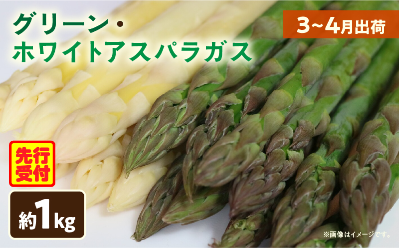 【先行予約】グリーン・ホワイトアスパラガス約1kg（3～4月出荷）|アスパラ アスパラガス ホワイトアスパラガス 新鮮 春野菜 直送 グリーンアスパラガス|_mk002-002