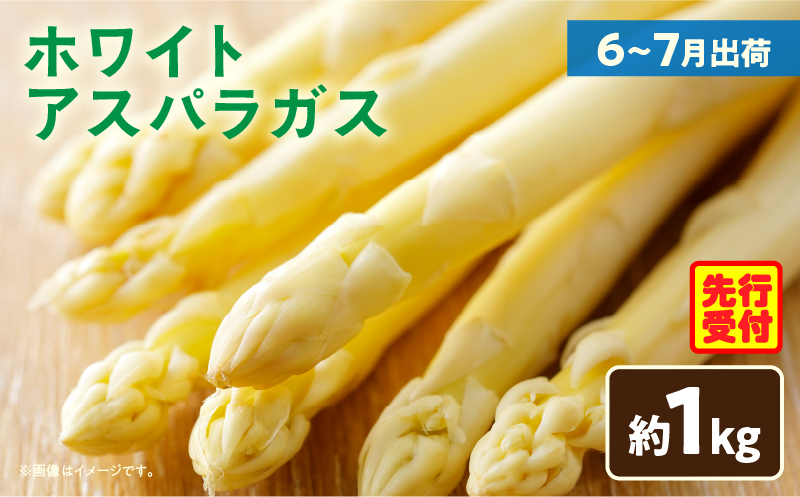 【先行予約】ホワイトアスパラガス約1kg（6～7月出荷）|アスパラ アスパラガス ホワイトアスパラガス 新鮮 素材の味 夏野菜 直送 香川県 三木町|_mk002-003