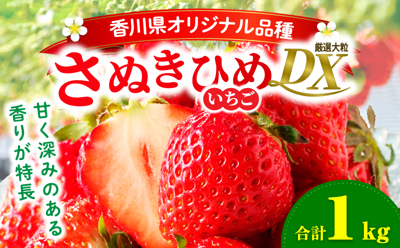 【先行受付】【年内発送】三木町地域いちご部会「さぬきひめ」約1kgDXパック | スイーツ いちご ストロベリー イチゴ さぬき姫 さぬきひめ 苺 甘い 大粒 冷蔵 フルーツ 旬 果物 香川県 デザート 青果物 贈答 プレゼント 贈り物 おすすめ |_mk006-016