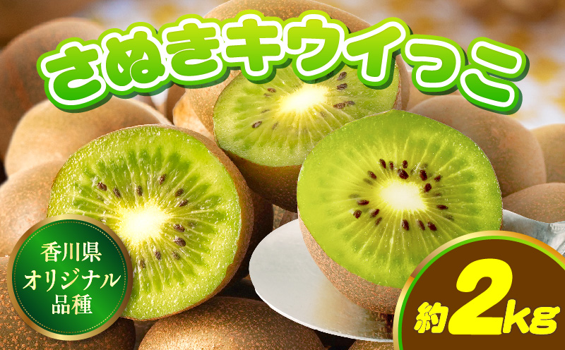 【先行受付】香川県オリジナルキウイフルーツ「さぬきキウイっこ」約2kg【香川県共通返礼品】 | キウイ キウイフルーツ 果物 フルーツ 青果 青果物 さぬきキウイっこ 果実 贈答 贈り物 ギフト 甘い 糖度が高い 季節のフルーツ 旬 おすすめ 香川県 三木町 |_mk006-042