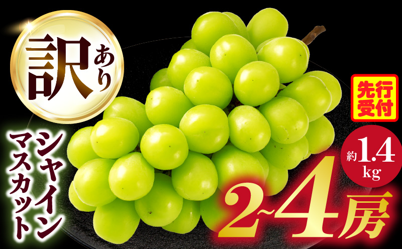 【2026年8月18日～10月20日配送】訳ありシャインマスカット 約1.4kg入り 2～4房|訳あり マスカット ぶどう ブドウ 葡萄 果物 フルーツ 人気 香川 香川県 三木町 種なし 皮ごと食べられる ジューシー 糖度が高い 先行受付 先行予約 季節限定 旬 おすすめ|_mk006-049-2