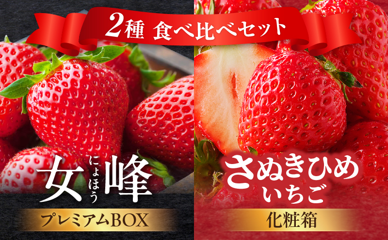 数量限定】厳選いちご2種 食べ比べセット| スイーツ いちご ストロベリー さぬき姫 さぬきひめ 女峰 食べ比べ 苺 セット 定期便 冷蔵 甘い フルーツ 旬 果物 香川県 デザート 青果物 贈答 プレゼント 化粧箱 贈り物 旬 おすすめ |_mk006-g001