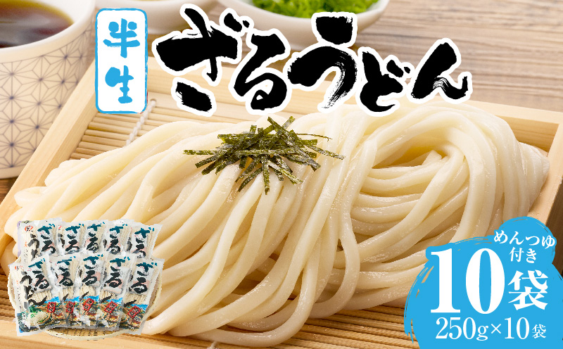 ざるうどん半生10袋入（つゆ付）|うどん さぬきうどん 讃岐うどん ざるうどん 細麺 半生うどん コシ めんつゆ付き かけ 釜あげ ぶっかけ 伝統 香川 半生 三木町|_mk041-006