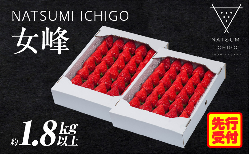 NATSUMI ICHIGO 女峰 約1.8kg以上（2026年1月～6月配送） | スイーツ いちご ストロベリー 女峰 1kg以上 苺 冷蔵 フルーツ 旬 果物 香川県 デザート 青果物 贈答 プレゼント 贈り物 季節限定 旬 おすすめ |_mk060-001