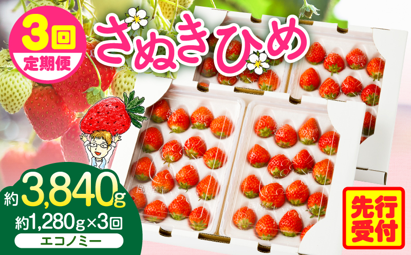 【2026年発送分 先行受付】苺音エコノミー　?さぬきひめいちご約1,280g?3回定期便 | おすすめ 人気 果実 果肉 果物 フルーツ デザート 贈り物 苺 さぬきひめ 贈答 ご褒美 ギフト 旬の果物 季節の果物 旬 季節 青果物 香川県 三木町 |_mk137-t001
