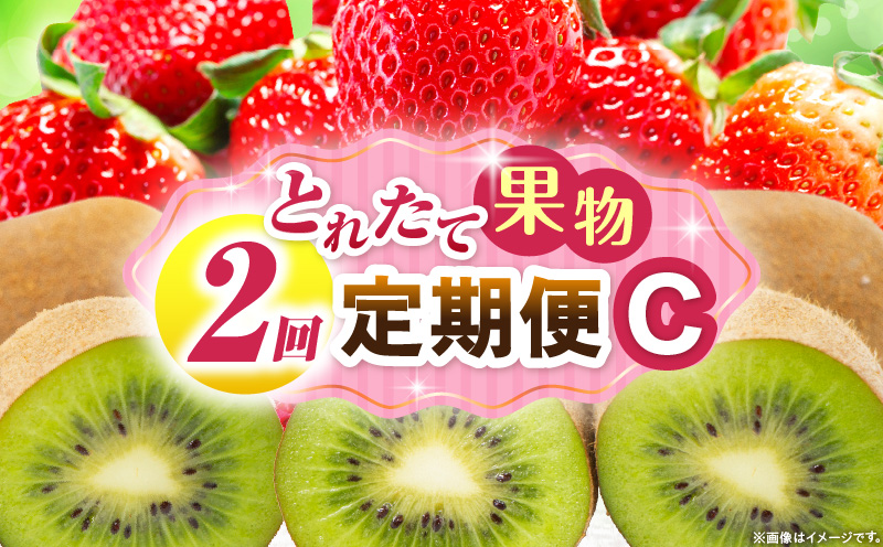 とれたて果物 2回定期便C 果物 フルーツ 果物定期便 フルーツ定期便 定期便 いちご キウイ濃厚 旬の果物 定期 人気 おすすめ 贈答 贈り物 青果物 糖度 香川県 _mk165-t053