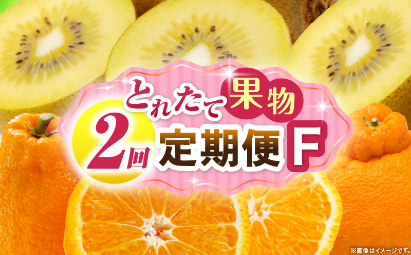 とれたて果物 2回定期便F 果物 フルーツ 果物定期便 フルーツ定期便 定期便キウイ デコポン 濃厚 旬の果物 定期 人気 おすすめ 贈答 贈り物 青果物 糖度 香川県 _mk165-t056