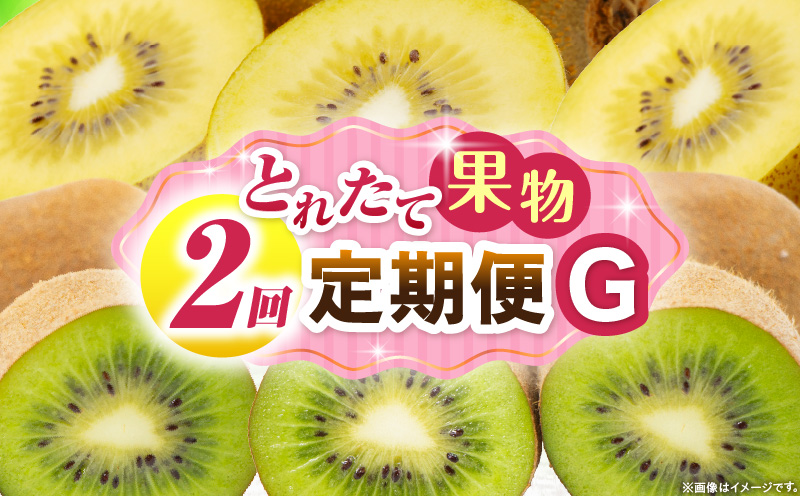 とれたて果物 2回定期便G 果物 フルーツ 果物定期便 フルーツ定期便 定期便キウイ濃厚 旬の果物 定期 人気 おすすめ 贈答 贈り物 青果物 糖度 香川県 _mk165-t057