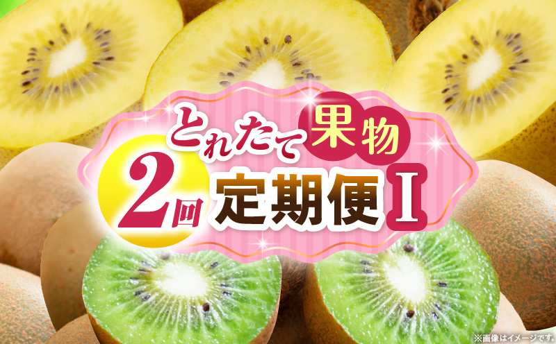 とれたて果物 2回定期便I 果物 フルーツ 果物定期便 フルーツ定期便 定期便キウイ濃厚 旬の果物 定期 人気 おすすめ 贈答 贈り物 青果物 糖度 香川県 _mk165-t059