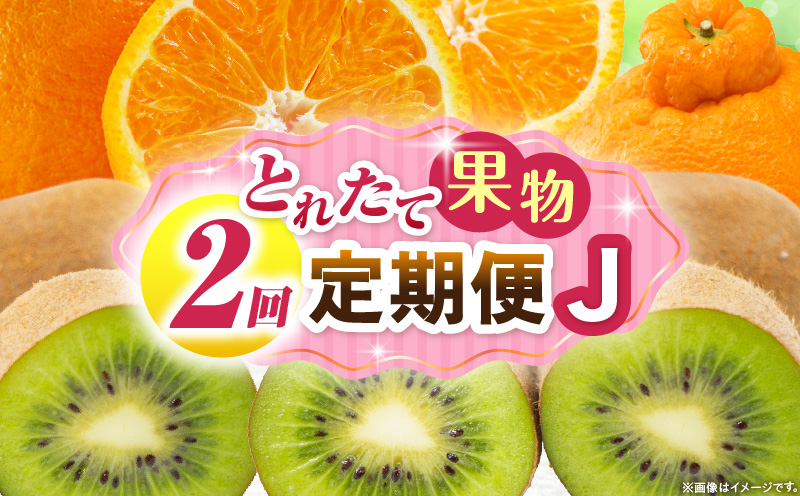 とれたて果物 2回定期便J 果物 フルーツ 果物定期便 フルーツ定期便 定期便キウイ デコポン濃厚 旬の果物 定期 人気 おすすめ 贈答 贈り物 青果物 糖度 香川県 _mk165-t060
