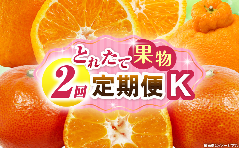 とれたて果物 2回定期便K 果物 フルーツ 果物定期便 フルーツ定期便 定期便 デコポンみかん 濃厚 旬の果物 定期 人気 おすすめ 贈答 贈り物 青果物 糖度 香川県 _mk165-t061