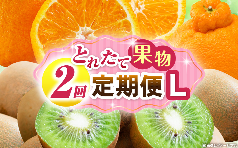 とれたて果物 2回定期便L 果物 フルーツ 果物定期便 フルーツ定期便 定期便キウイ デコポン濃厚 旬の果物 定期 人気 おすすめ 贈答 贈り物 青果物 糖度 香川県 _mk165-t062