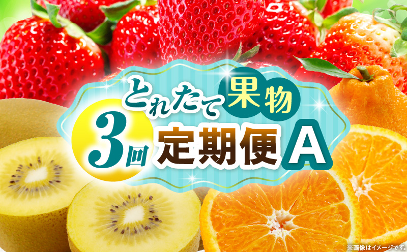 とれたて果物 3回定期便A 果物 フルーツ 果物定期便 フルーツ定期便 定期便 いちご キウイ デコポン濃厚 旬の果物 定期 人気 おすすめ 贈答 贈り物 青果物 糖度 香川県 _mk165-t065