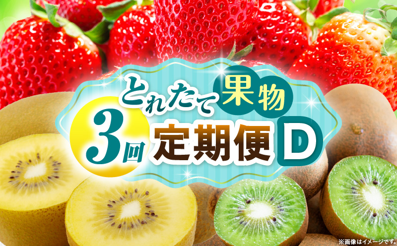 とれたて果物 3回定期便D 果物 フルーツ 果物定期便 フルーツ定期便 定期便 いちご キウイ濃厚 旬の果物 定期 人気 おすすめ 贈答 贈り物 青果物 糖度 香川県 _mk165-t068