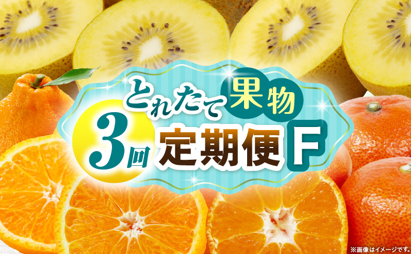 とれたて果物 3回定期便F 果物 フルーツ 果物定期便 フルーツ定期便 定期便キウイ デコポンみかん 濃厚 旬の果物 定期 人気 おすすめ 贈答 贈り物 青果物 糖度 香川県 _mk165-t070