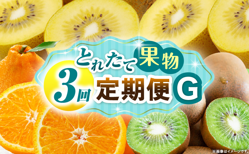 とれたて果物 3回定期便G 果物 フルーツ 果物定期便 フルーツ定期便 定期便 キウイ デコポン 濃厚 旬の果物 定期 人気 おすすめ 贈答 贈り物 青果物 糖度 香川県 _mk165-t071