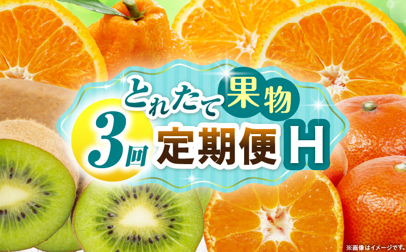 とれたて果物 3回定期便H 果物 フルーツ 果物定期便 フルーツ定期便 定期便キウイデコポンみかん 濃厚 旬の果物 定期 人気 おすすめ 贈答 贈り物 青果物 糖度 香川県 _mk165-t072